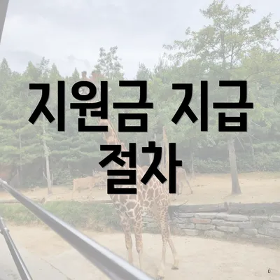 지원금 지급 절차