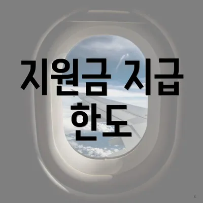 지원금 지급 한도