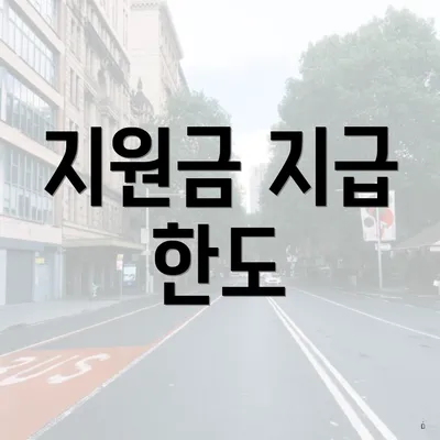 지원금 지급 한도