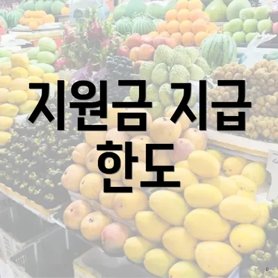 지원금 지급 한도
