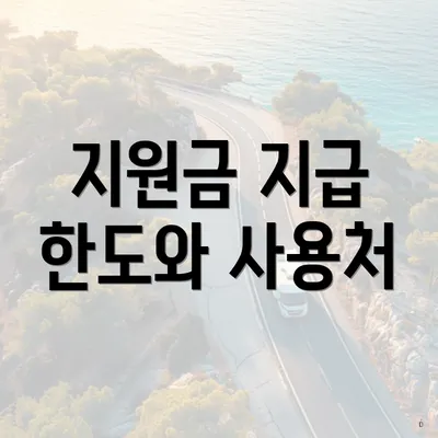 지원금 지급 한도와 사용처