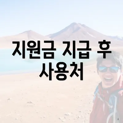 지원금 지급 후 사용처