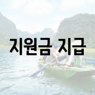 지원금 지급