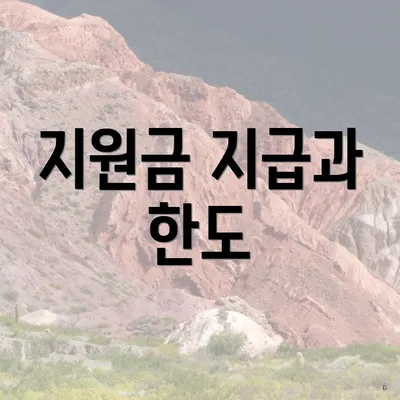 지원금 지급과 한도