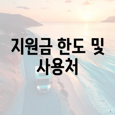 지원금 한도 및 사용처