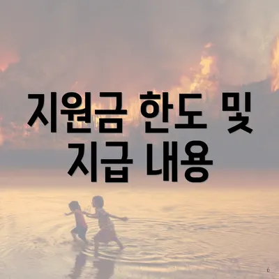 지원금 한도 및 지급 내용