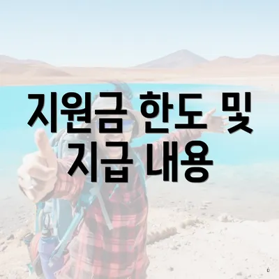 지원금 한도 및 지급 내용
