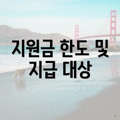 지원금 한도 및 지급 대상