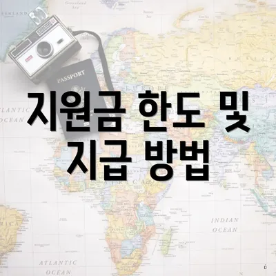 지원금 한도 및 지급 방법