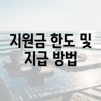 지원금 한도 및 지급 방법