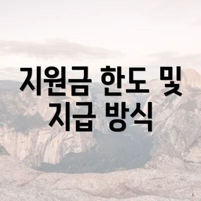 지원금 한도 및 지급 방식