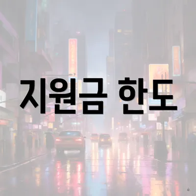 지원금 한도