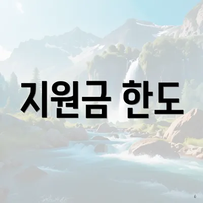 지원금 한도