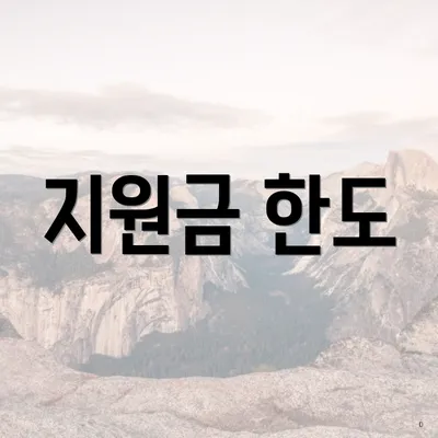 지원금 한도