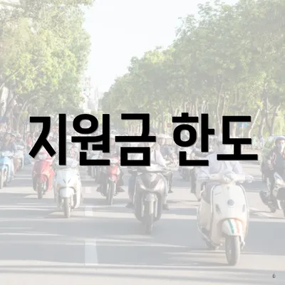 지원금 한도