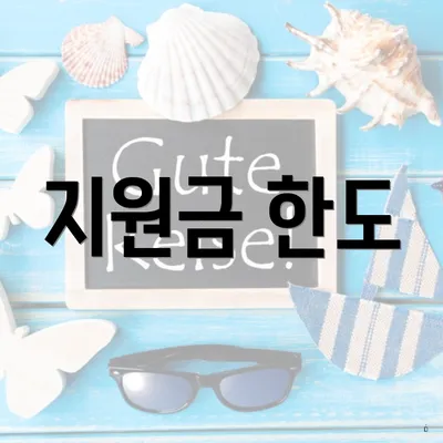 지원금 한도