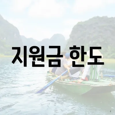 지원금 한도