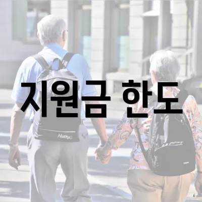 지원금 한도
