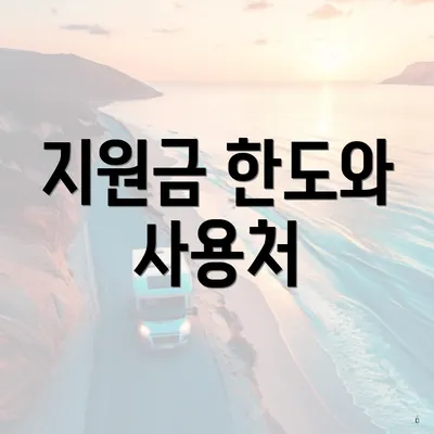 지원금 한도와 사용처
