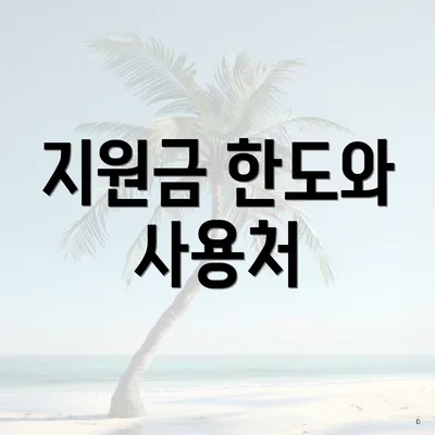 지원금 한도와 사용처