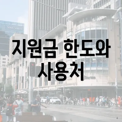 지원금 한도와 사용처