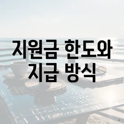 지원금 한도와 지급 방식
