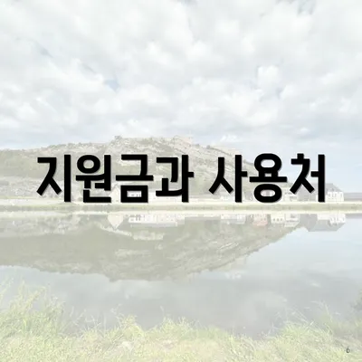 지원금과 사용처