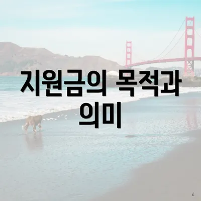 지원금의 목적과 의미