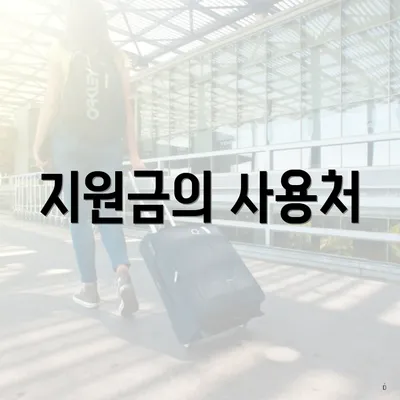 지원금의 사용처