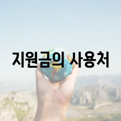 지원금의 사용처