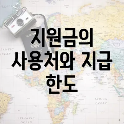 지원금의 사용처와 지급 한도