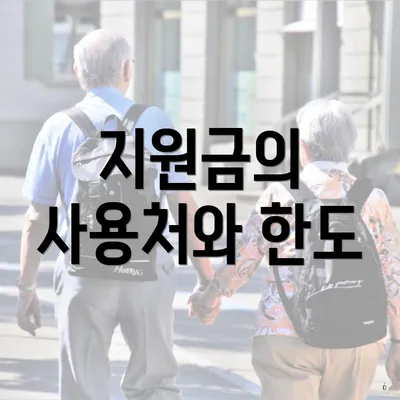 지원금의 사용처와 한도