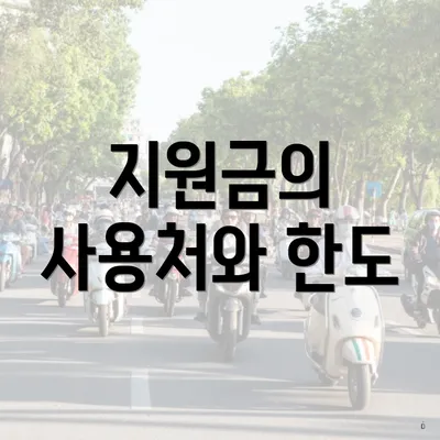 지원금의 사용처와 한도