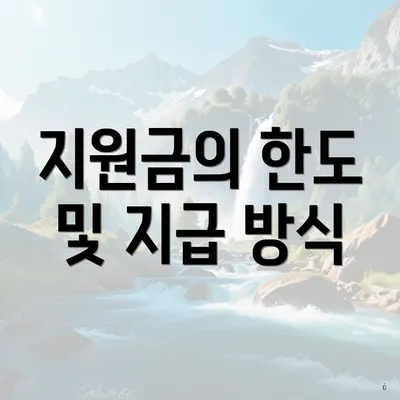 지원금의 한도 및 지급 방식
