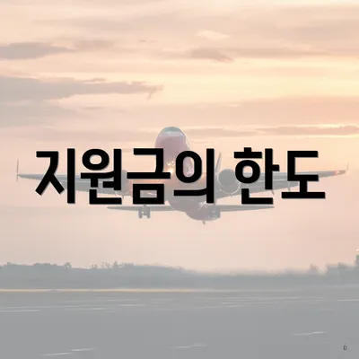 지원금의 한도