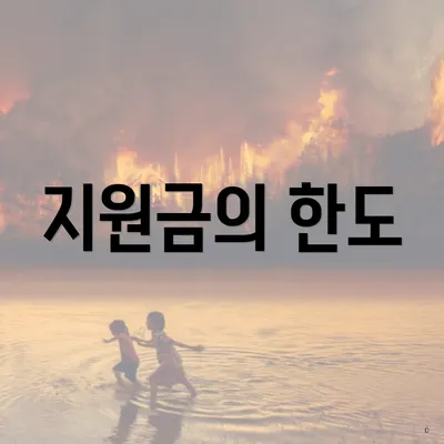 지원금의 한도