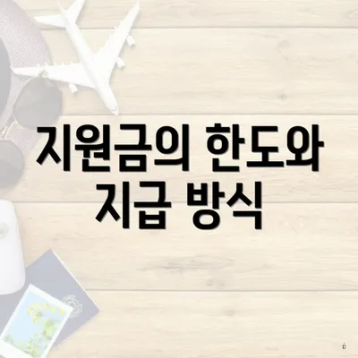 지원금의 한도와 지급 방식