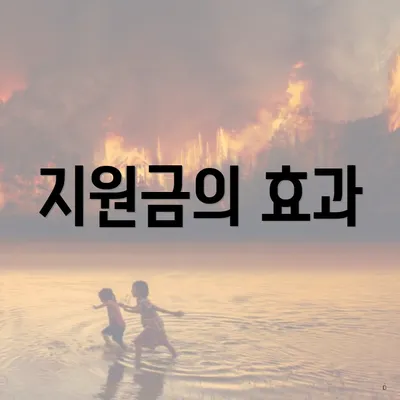지원금의 효과