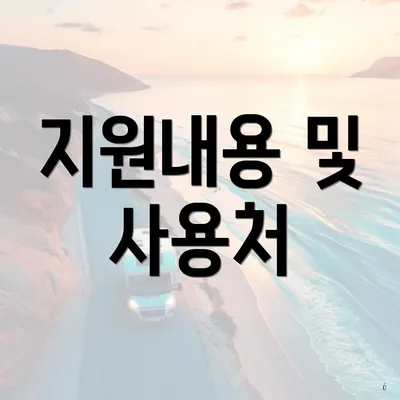 지원내용 및 사용처