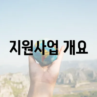 지원사업 개요