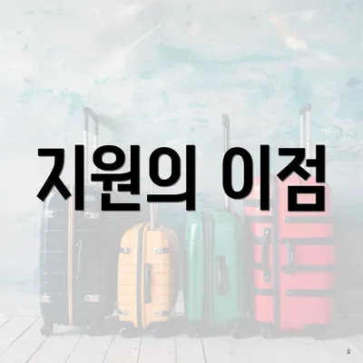 지원의 이점