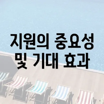 지원의 중요성 및 기대 효과