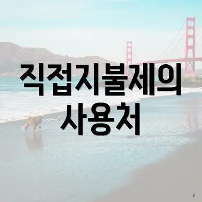 직접지불제의 사용처