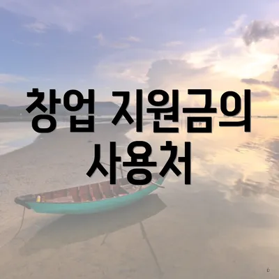 창업 지원금의 사용처