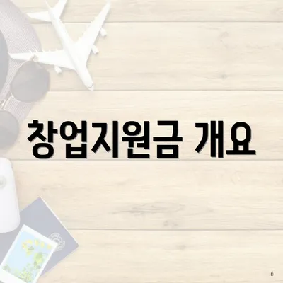 창업지원금 개요