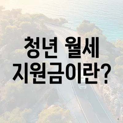 청년 월세 지원금이란?