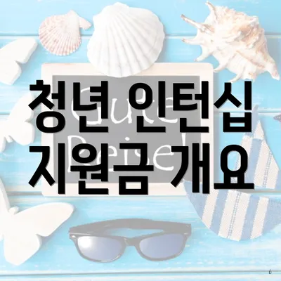 청년 인턴십 지원금 개요
