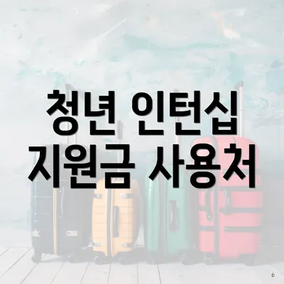 청년 인턴십 지원금 사용처