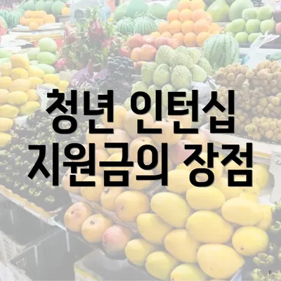 청년 인턴십 지원금의 장점