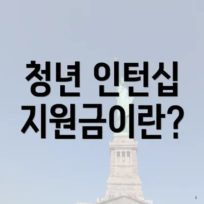 청년 인턴십 지원금이란?